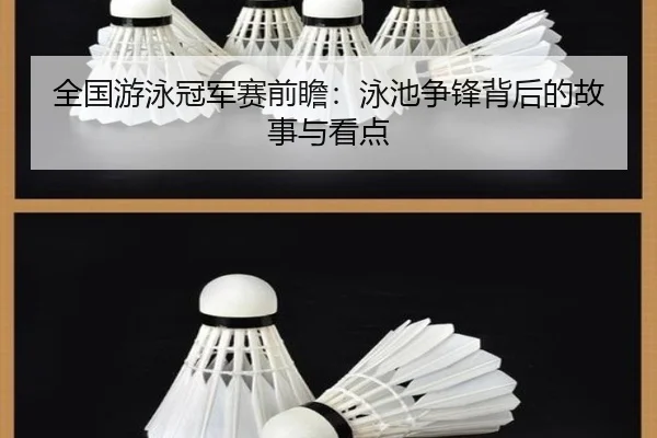 全国游泳冠军赛前瞻：泳池争锋背后的故事与看点